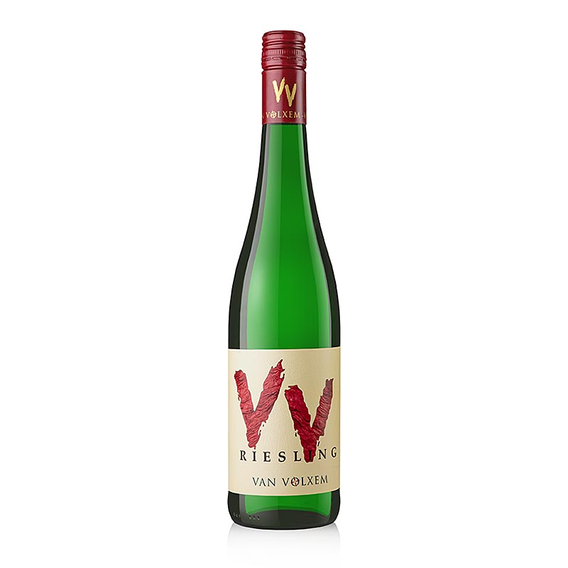 Riesling VV QW 2024, demi-sec, 11,5 % vol., Van Volxem - 750 ml - Bouteille