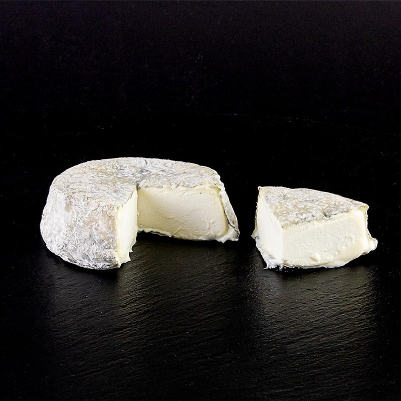 Selles sur cher AOP, mykost laget av geitemelk - 150 g - Papir