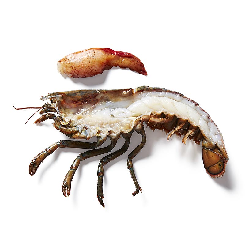 HPL Hummer, homard coupé en deux avec des ciseaux à coquille dans le sac de cuisson - 300 g, 2 parties - sac