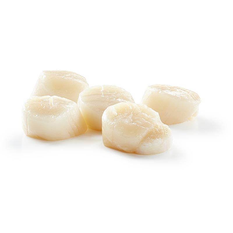 Kanadische Jakobsmuscheln, Größe M, 44-66 Stück - 1 kg - Beutel Kanadische Jakobsmuscheln, Größe M, 44-66 Stück - 1 kg - Beutel