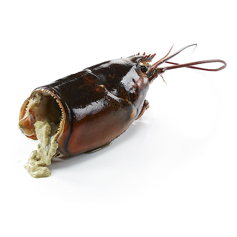 Canadian lobster HPL, lobster heads - 7.25 kg - carton Canadian lobster HPL, lobster heads - 7.25 kg - carton