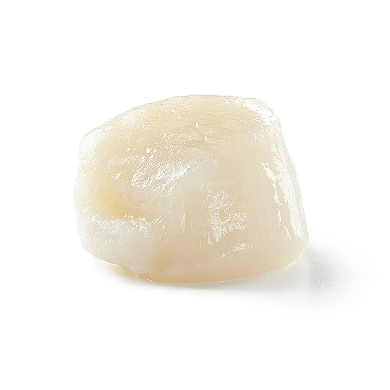 Kanadische Jakobsmuscheln, Größe S, 66-88 Stück - 1 kg - Beutel Kanadische Jakobsmuscheln, Größe S, 66-88 Stück - 1 kg - Beutel