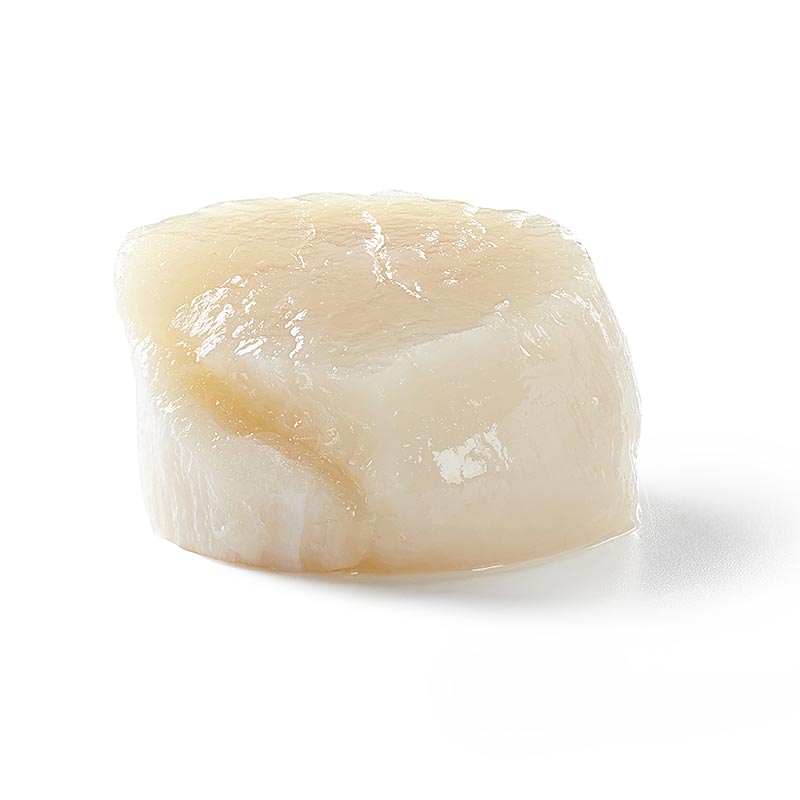 Canadian scallops, size L, 22-44 pieces - 1 kg - bag