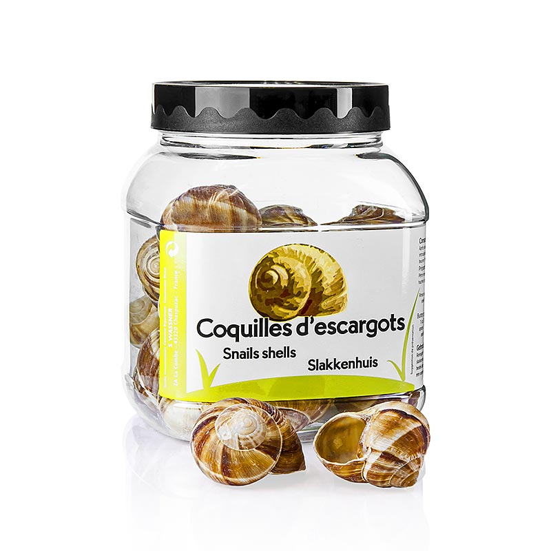 Coquilles descargot No.6 (grand), pour le remplissage ou pour la décoration - 24 heures - Pe-dose