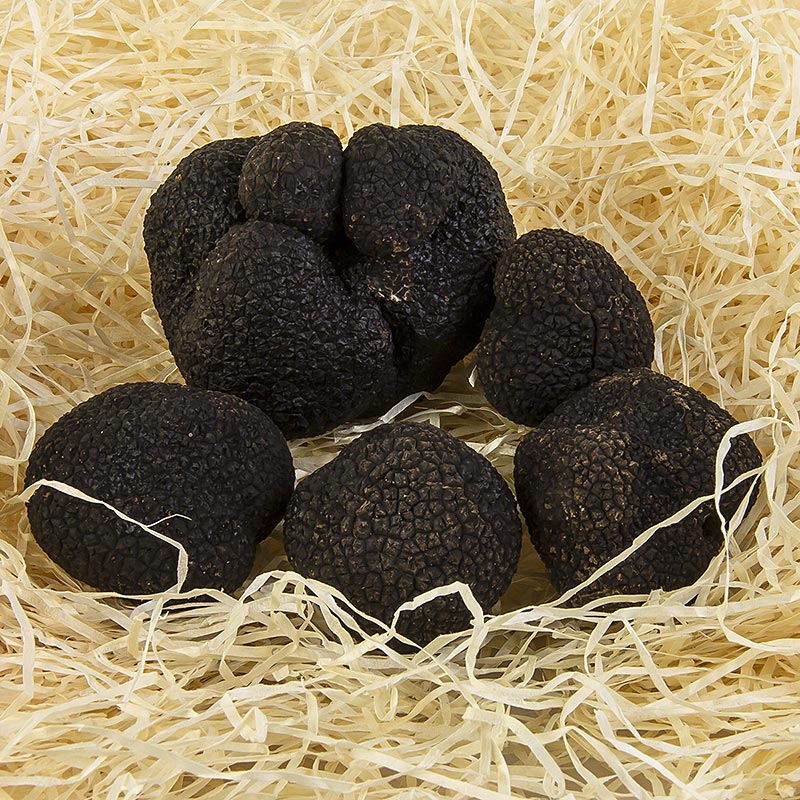 Truffle Winter-Edeltrüffel - tuber melanosporum EXTRA, fresh, from Australia, tubers from approx. 30g, available from June to August (DAILY RATE) - per gram - -