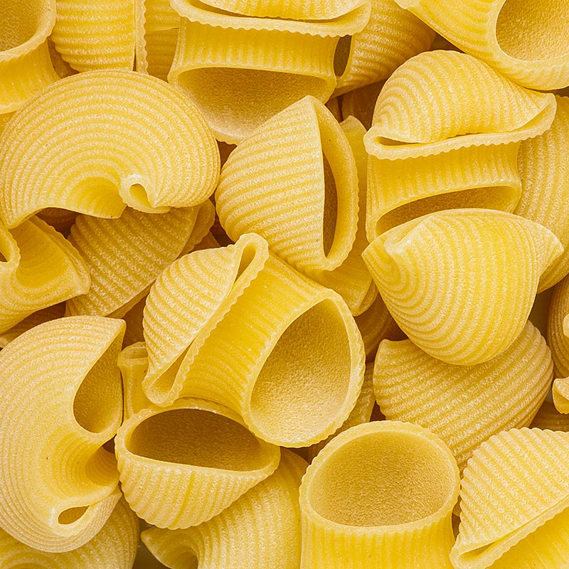 Granoro Lumaconi, zum Füllen, No.97 - 6 kg, 12 x 500g - Karton Granoro Lumaconi, zum Füllen, No.97 - 6 kg, 12 x 500g - Karton