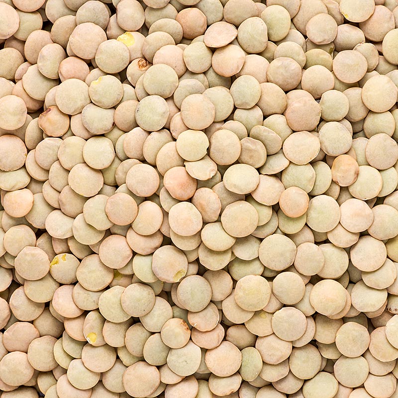 Lentils, green, laird, organic - 1 kg - bag