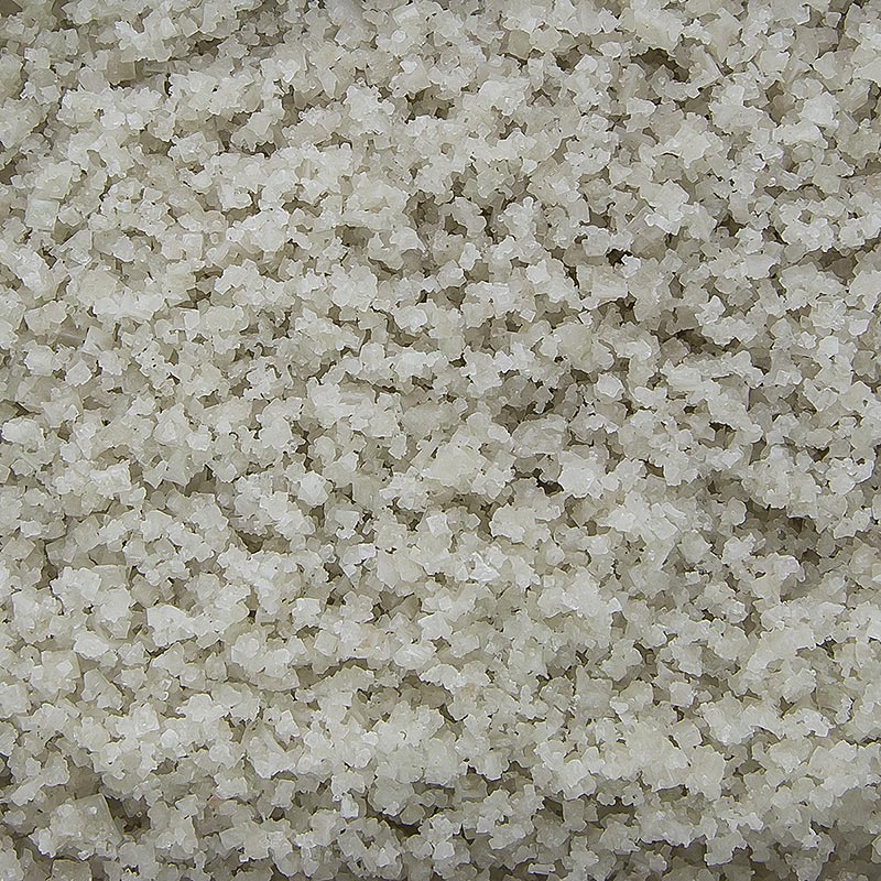 Zeezout, grof, grijs, vochtig, Guerande / Frankrijk, TradySel - 5 kg - Tas Zeezout, grof, grijs, vochtig, Guerande / Frankrijk, TradySel - 5 kg - Tas