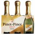 Pinot di Pinot Spumante Brut Cluster, Schaumwein weiß, Charmatmethode, Gancia Spumanti - 3 x 0,2 l - Set