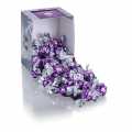 Kerst bonbons - Spekulatius amandelen, alcohol vrij - 455 g, 35 x 13 g - doos