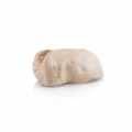 Goose foie gras, Eastern Europe, measures - about 500 g - vacuum