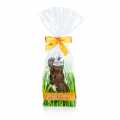 Grote paashaas, melkchocolade met decoratie, Peters - 90 g - film