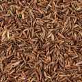 Red rice from the Camargue (France), BIO - 1 kg - bag