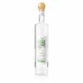 Valdavi - Grappa di Moscato, 40% bindi, Berta - 700ml - Flaska