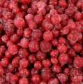 Rote Johannisbeeren - 2,5 kg - Karton