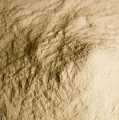 Alginat natriumi - pluhur ushqimor, E 401 - 100 g - cante