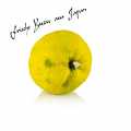 Yuzu - japansk citrusfrugt, hel, frisk (fra oktober-december) - ca 120 g - Loes