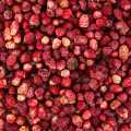 Wild strawberries, whole, TK - 1 kg - bag