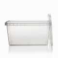 Pot de plastic RectAcup, rectangular, amb tapa, 139 x 98 x 71 mm, 600 ml - 1 peca - Solta