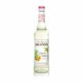 Curasao Triple Sec Sirop Monin - 700 ml - Bouteille