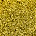 Dill blossoms and pollen, for seasoning and refining - very effective, USA - 455 g - can