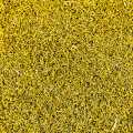 Baharat ve rafine etmek icin dereotu cicekleri ve polen - cok etkili, ABD - 455g - olabilmek