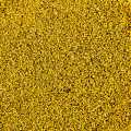 Baharat ve rafine etmek icin rezene cicekleri ve polen, ABD - 455g - olabilmek