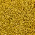 Fleurs de fenouil et pollen, pour l`assaisonnement et le raffinage, USA - 455 g - boîte