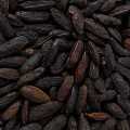 Tonka beans, Brazil wild growth - 1 kg - bag