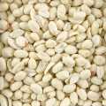 Erdnüsse ohne Schale, ungesalzen, nicht geröstet - 1 kg - Beutel
