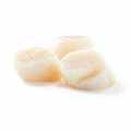 Canadian scallops, size L, approx. 7 pieces - 200 g - bag
