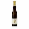 2018er Kastanienbusch Riesling, GG, dry, 13.5% vol., Rebholz, BIO - 750 ml - bottle