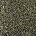 Linsen, grün, Lentilles, Kanada, BIO - 1 kg - Beutel