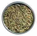 India, fennel seeds, organic, whole, Le Specialita di Viani - 40 g - Tin