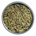 India, venkelzaad, organisch, geheel, Le Specialita di Viani - 40 g - Tin