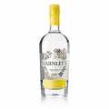 Darnley`s London Dry Gin, 40 % vol. - 700 ml - Steklenicka