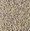 Barley, whole, peeled, ORGANIC - 1 kg - bag
