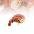 Red prawns, wild caught, headless with shell, approx. 32-40 pieces, easy peel - 1 kg - bag