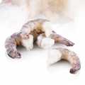 Black Tiger Prawns, headless, shelled, about 16-24 pieces, Goumaitre - 1 kg - bag