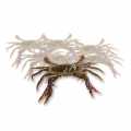 Soft Shell Mangrove Crab, Paitoon - 1 kg, 14 pcs - carton