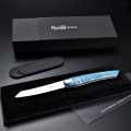Nesmuk Soul folding knife (folder), 202mm (115mm closed), Riegelarhorn handle - 1 pc - wooden box