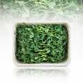 Microgreens erwten, spruitjes vers, verpakt - 100 gram - PE-schaal