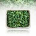 Microgreens bezelye, filizler taze, paketlenmis - 100 gram - PE kabuk