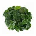 lime leaves/ kaffir leaves - 100 g - bag