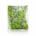 Wasabi - Green horseradish paste, in a sachet - 1.25kg, 500x2.5g - carton