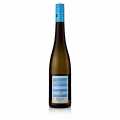 Riesling Estate 2021, kering, 11,5% vol., Wittmann, organik - 750ml - Botol