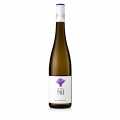 2021er Sauvignon Blanc, trocken, 12% vol., Weingut am Nil - 750 ml - Flasche