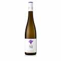 2021 Sauvignon Blanc, sec, 12% vol., cave sur le Nil - 750ml - Bouteille