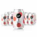 ROY Raspberry Kombucha Berlin, ORGANIC - 24 x 330ml - Cardboard