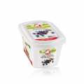 Dira bosbessenpuree, met suiker - 1 kg - PE-schaal